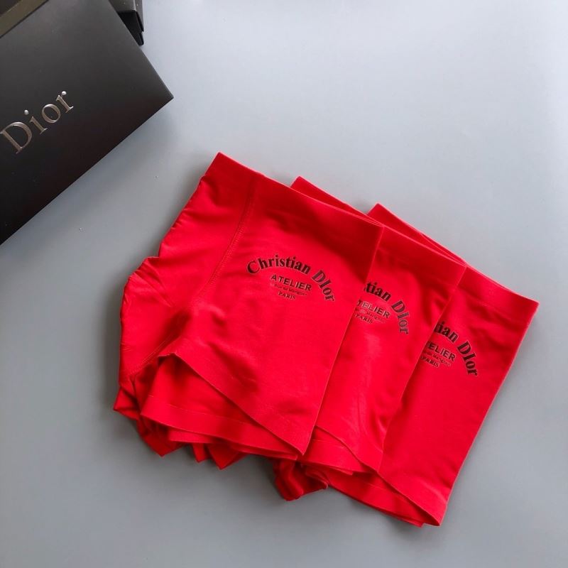 Dior Panties